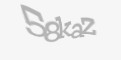 Təhlükəsizlik kodu