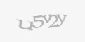 Təhlükəsizlik kodu
