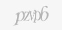 Təhlükəsizlik kodu