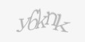 Təhlükəsizlik kodu