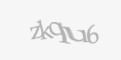 Təhlükəsizlik kodu